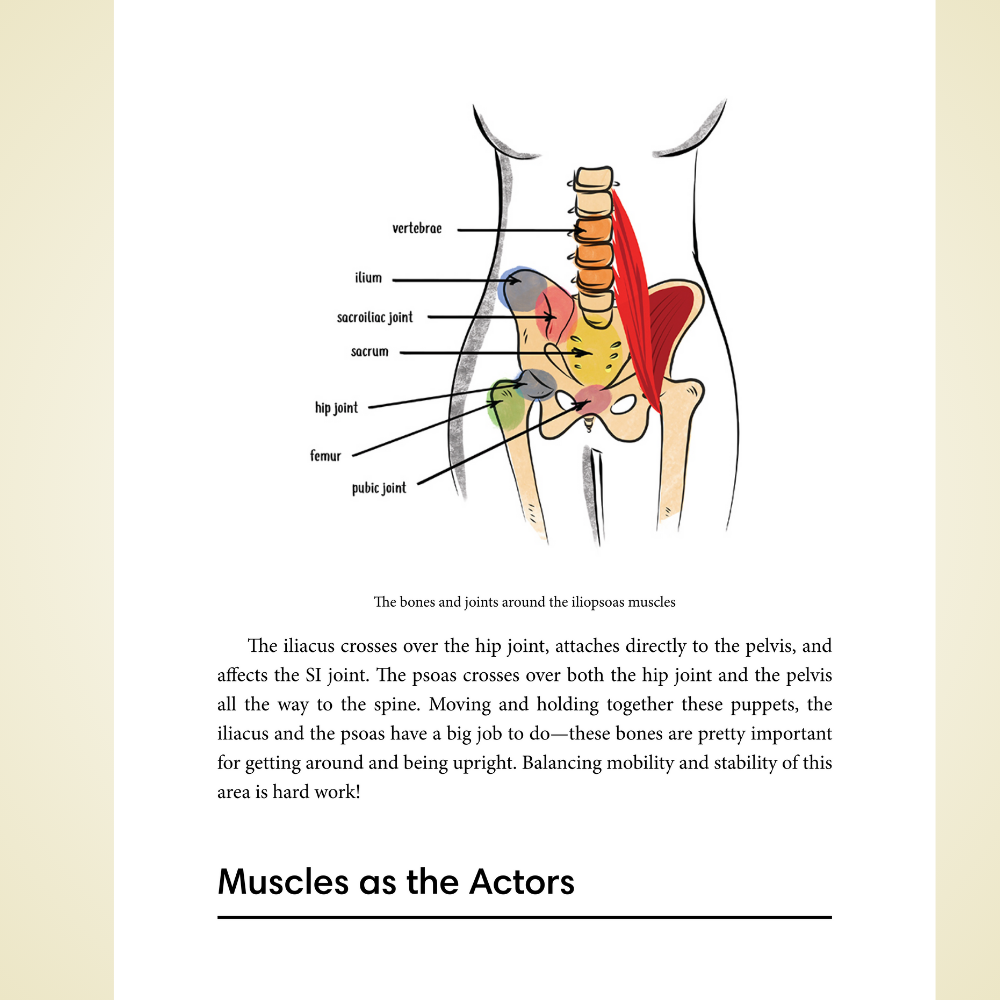 Tight Hip, Twisted Core: The Key to Unresolved Pain by Christine Koth