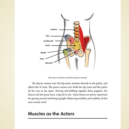 Tight Hip, Twisted Core: The Key to Unresolved Pain by Christine Koth