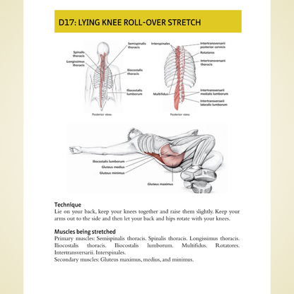 The Anatomy of Stretching, Second Edition: Your Illustrated Guide to Flexibility and Injury Rehabilitation by Brad Walker