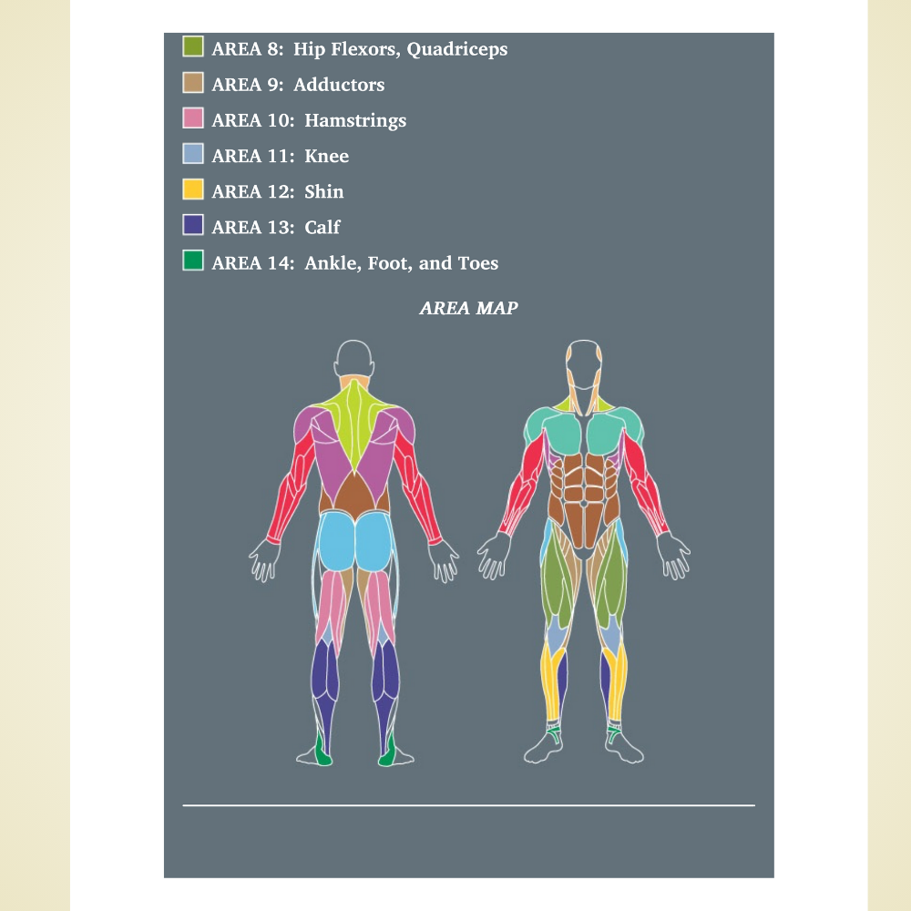 Becoming a Supple Leopard: The Ultimate Guide to Resolving Pain, Preventing Injury, and Optimizing Athletic Performance by Kelly Starrett