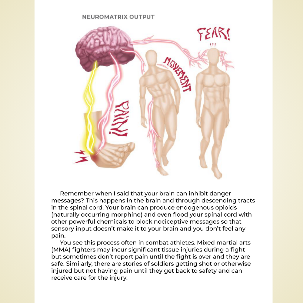 Rehab Science: How to Overcome Pain and Heal from Injury by Tom Walters