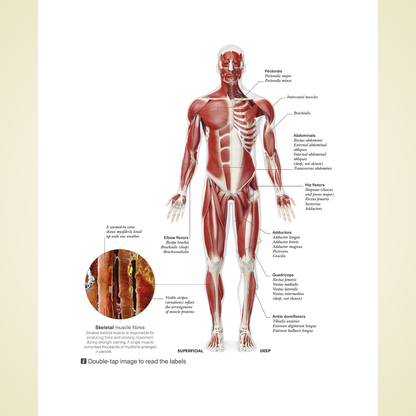 Science of Strength Training: Understand the Anatomy and Physiology to Transform Your Body by Austin Current