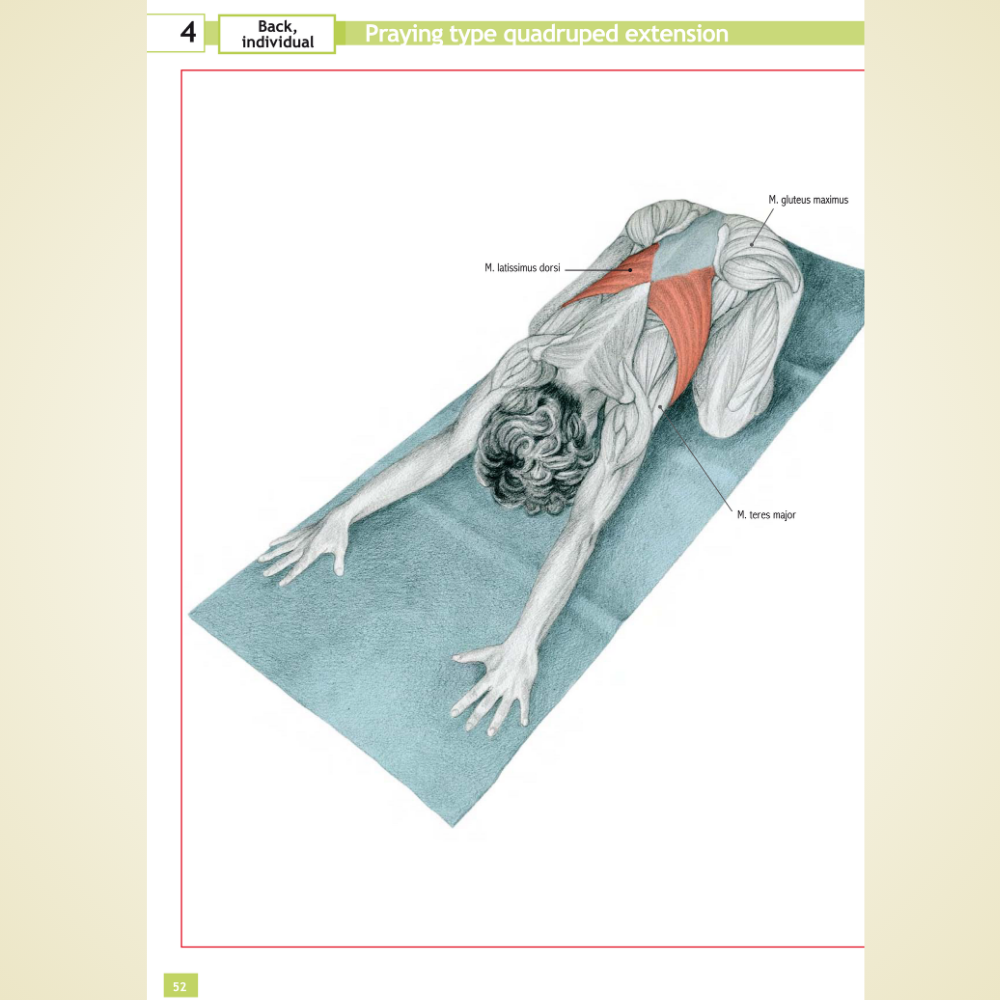 Stretching Exercises Encyclopedia by Oscar Moran & Isabel Arechabala