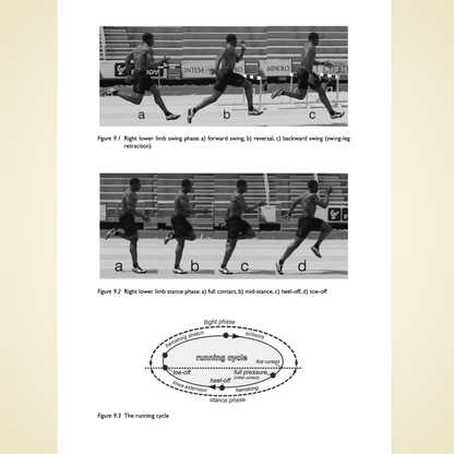 Sports Injury Prevention and Rehabilitation: Integrating Medicine and Science for Performance Solutions by David Joyce & Daniel Lewindon